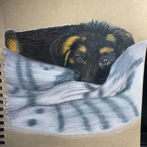 Meet your Posher, Oakley